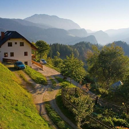Turisticna Kmetija Perk Villa Solcava Ngoại thất bức ảnh