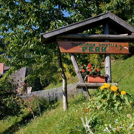 Turisticna Kmetija Perk Villa Solcava Ngoại thất bức ảnh