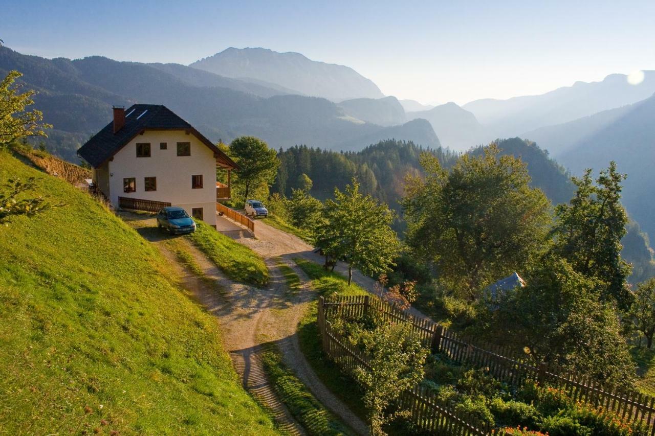 Turisticna Kmetija Perk Villa Solcava Ngoại thất bức ảnh