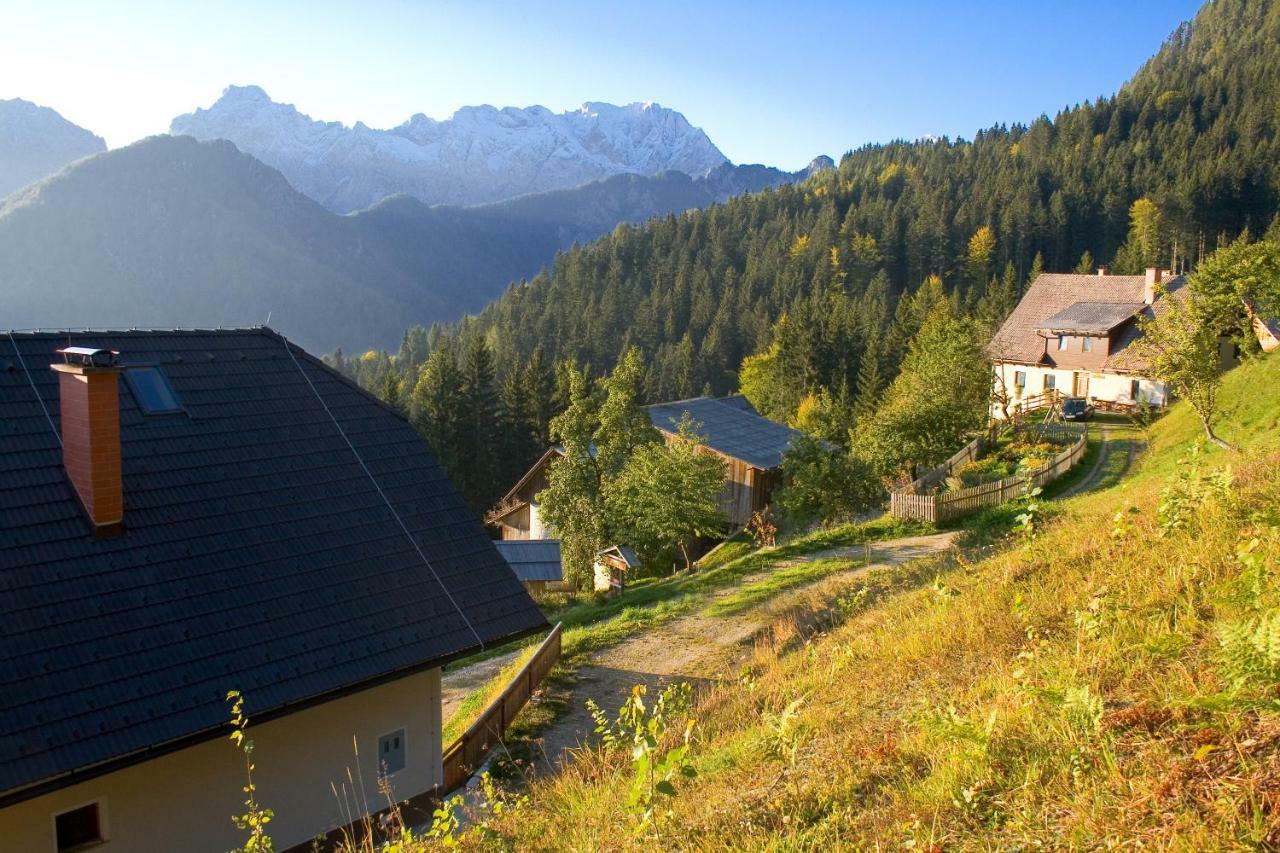 Turisticna Kmetija Perk Villa Solcava Ngoại thất bức ảnh