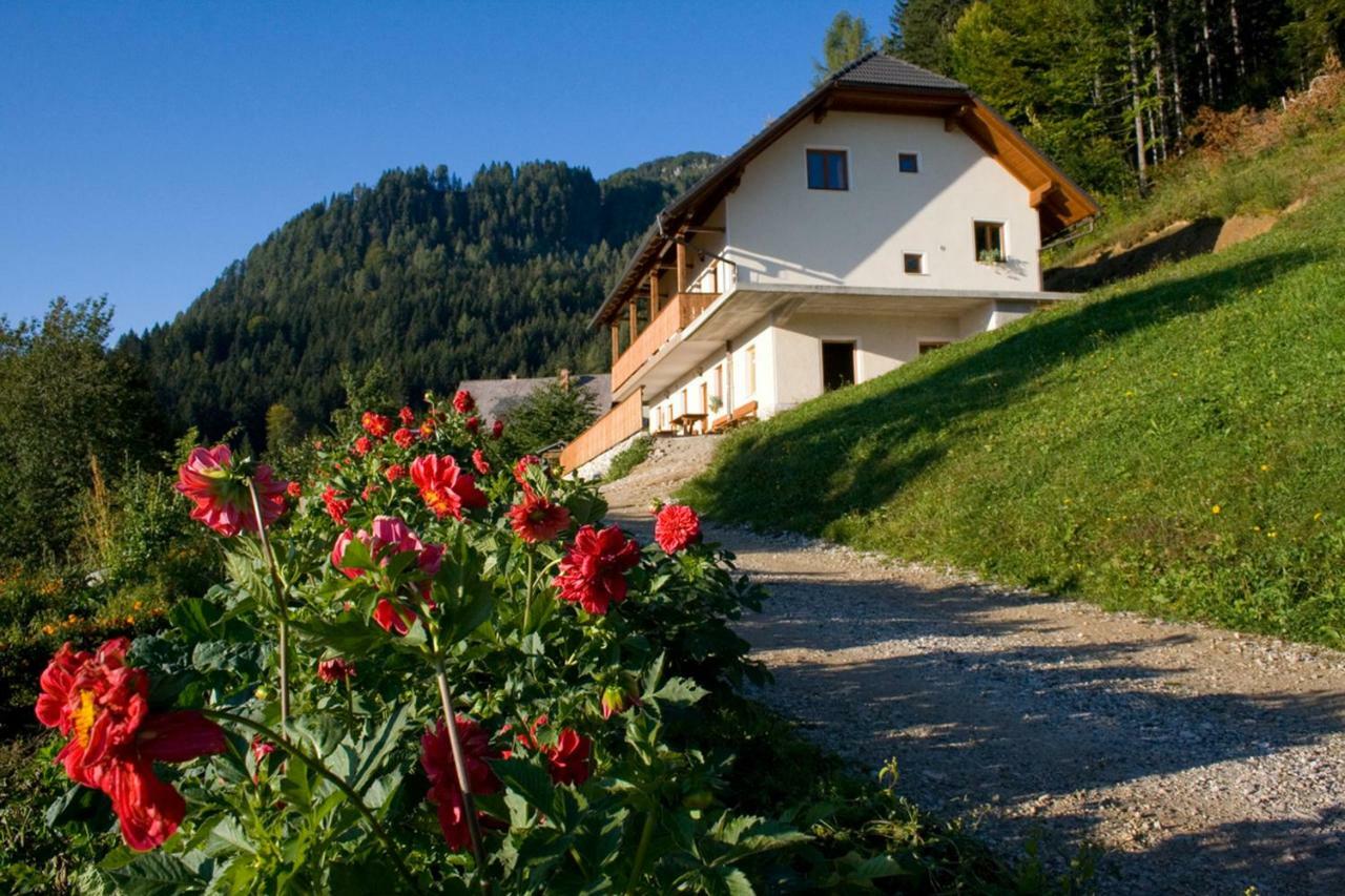Turisticna Kmetija Perk Villa Solcava Ngoại thất bức ảnh