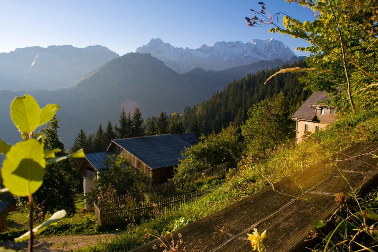 Turisticna Kmetija Perk Villa Solcava Ngoại thất bức ảnh