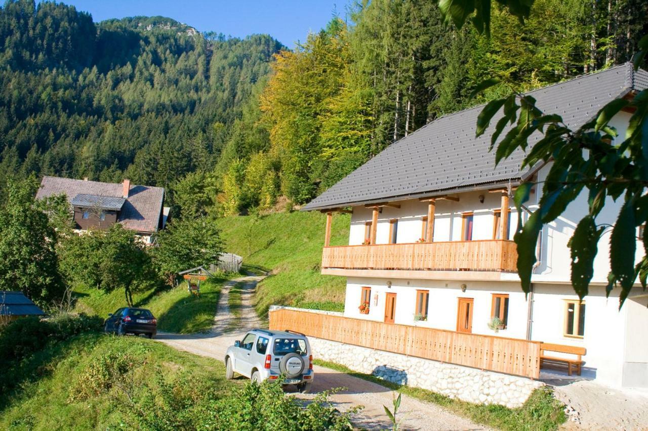 Turisticna Kmetija Perk Villa Solcava Ngoại thất bức ảnh